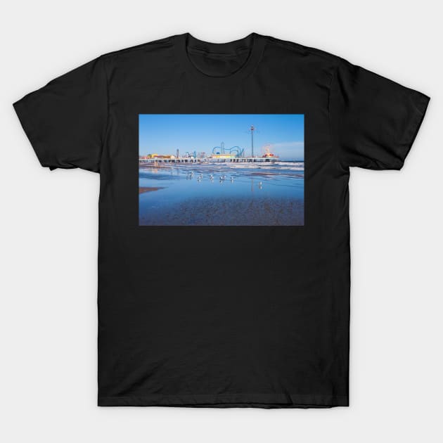 Galveston T-Shirt by Jacquelie